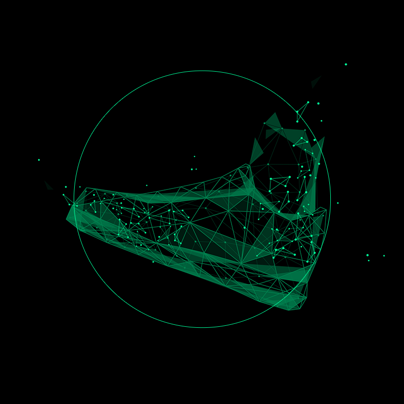 an image of a green shoe
